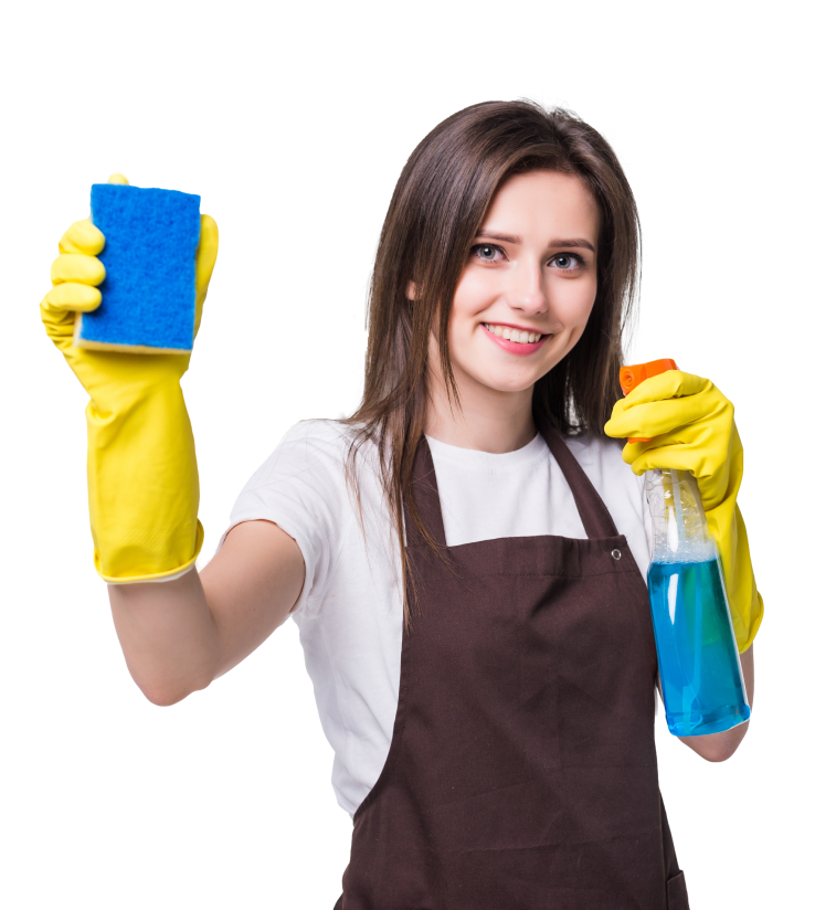 Professional Cleaning Service